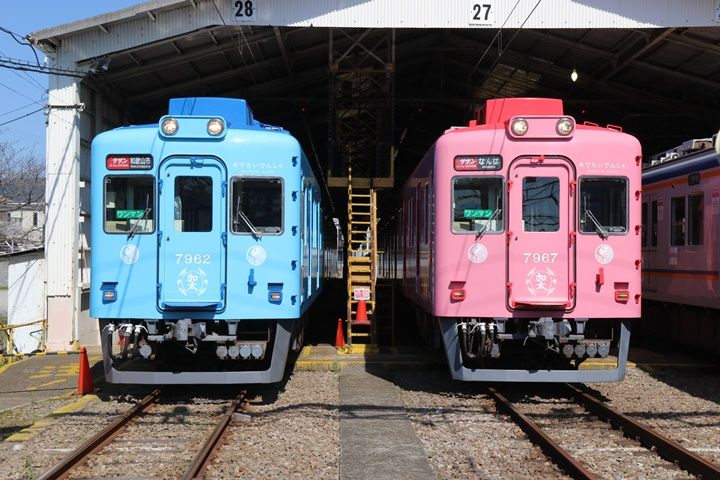 イメージ 5