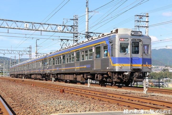 イメージ 7