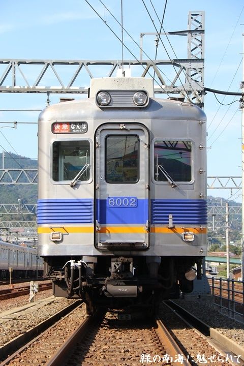 イメージ 5