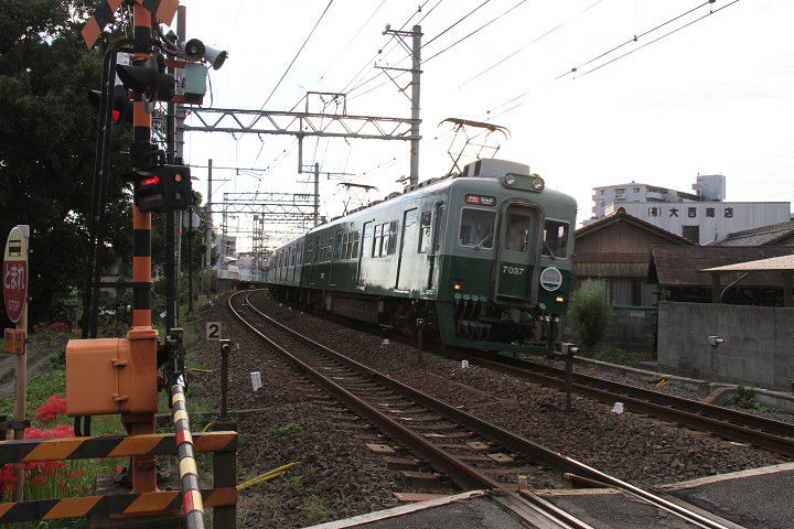 イメージ 11