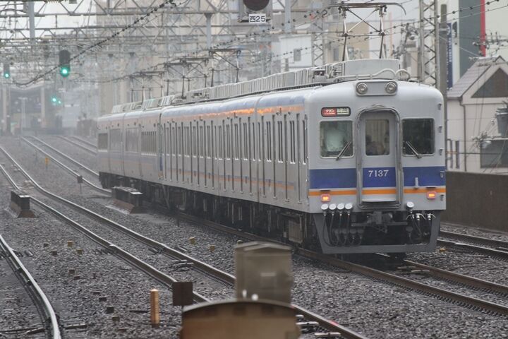 031