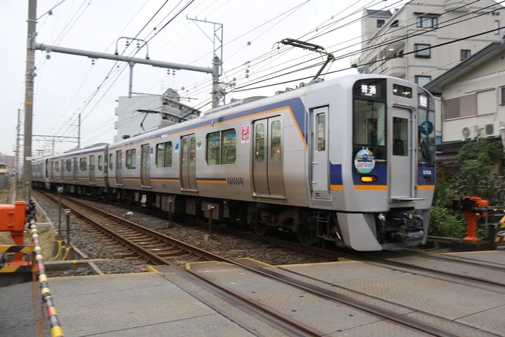 イメージ 4