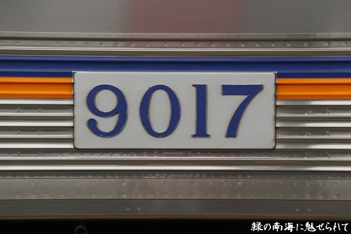 41