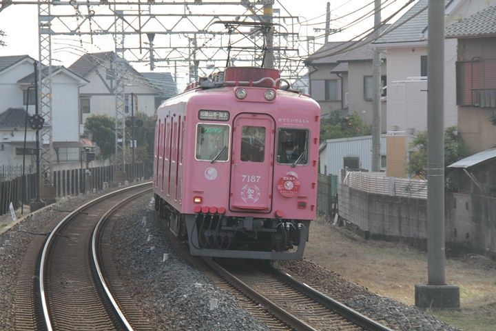 イメージ 5