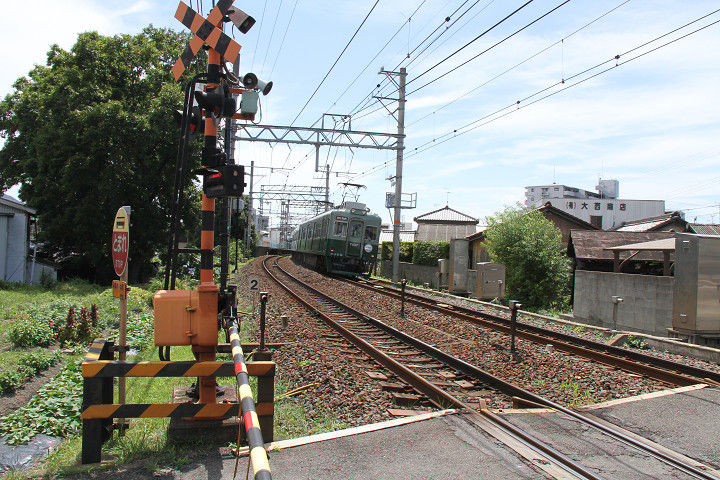 イメージ 7