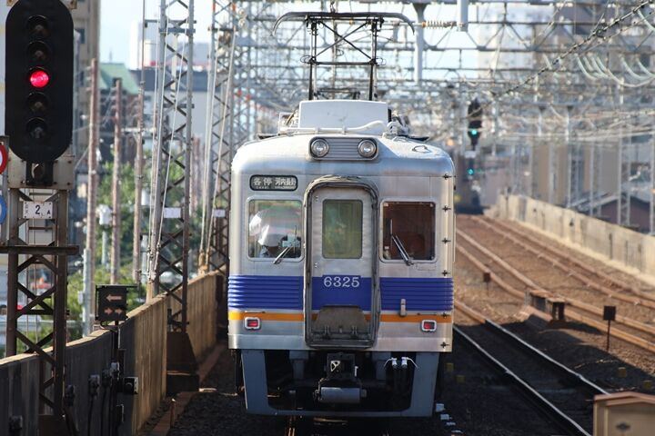 245