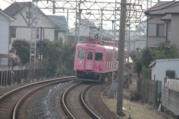 イメージ 2