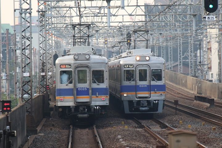 イメージ 7