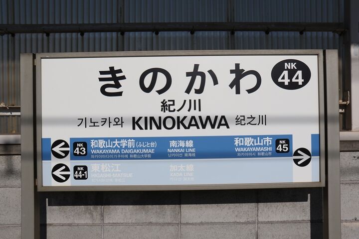 41