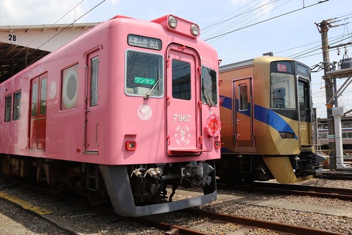 イメージ 14