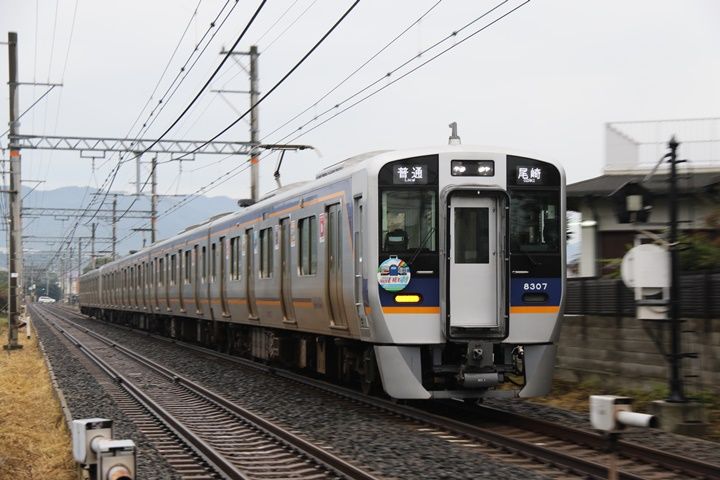 イメージ 6