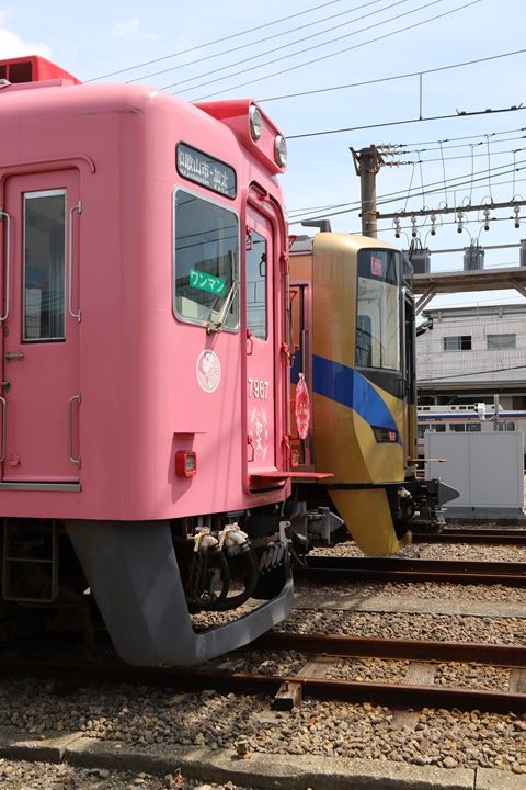 イメージ 15