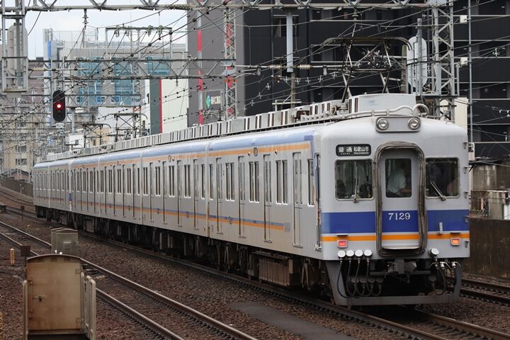 113