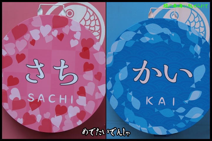 イメージ 1