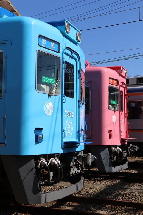 イメージ 5