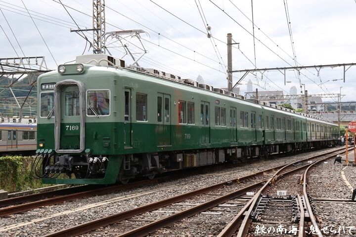 079