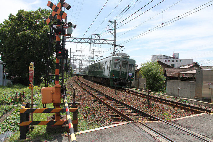 イメージ 8