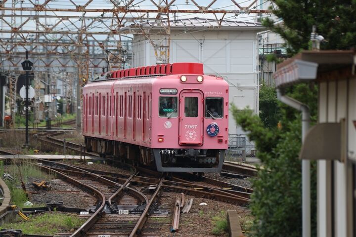06