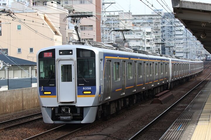 241