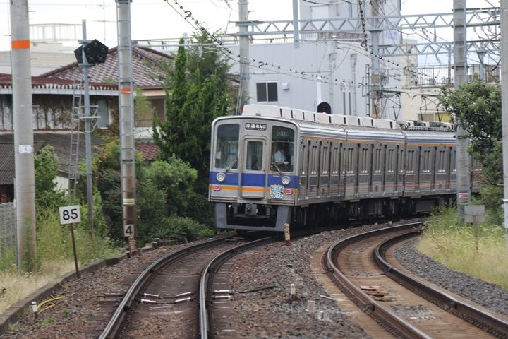イメージ 7