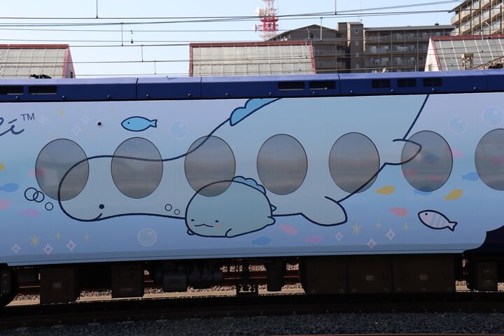 36