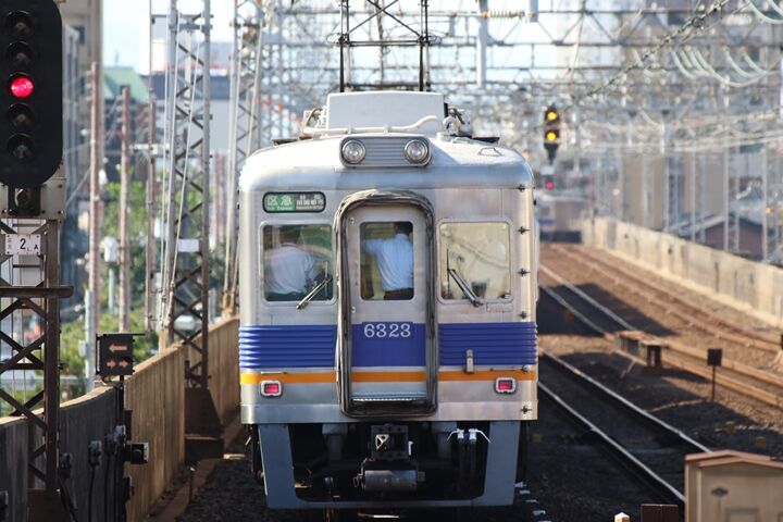 241