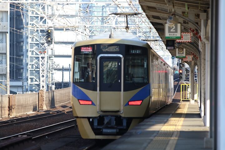 231