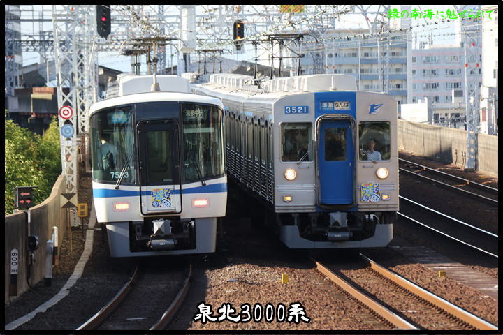 イメージ 5