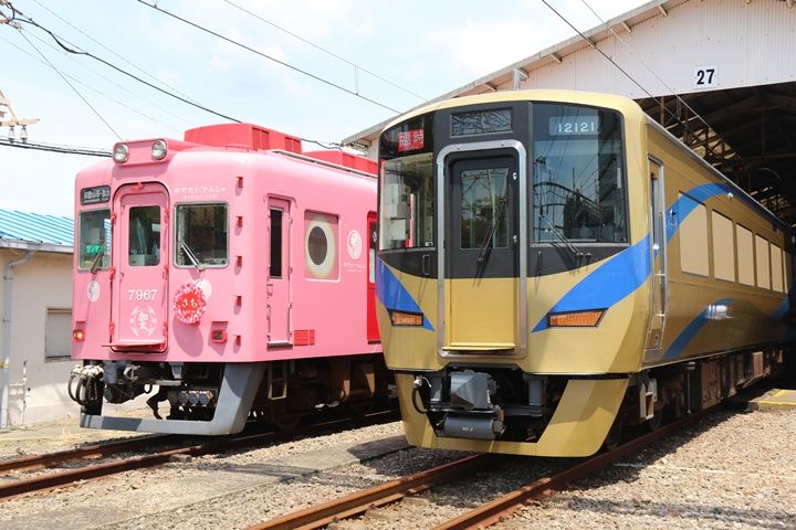 イメージ 6