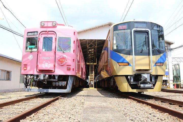 イメージ 5