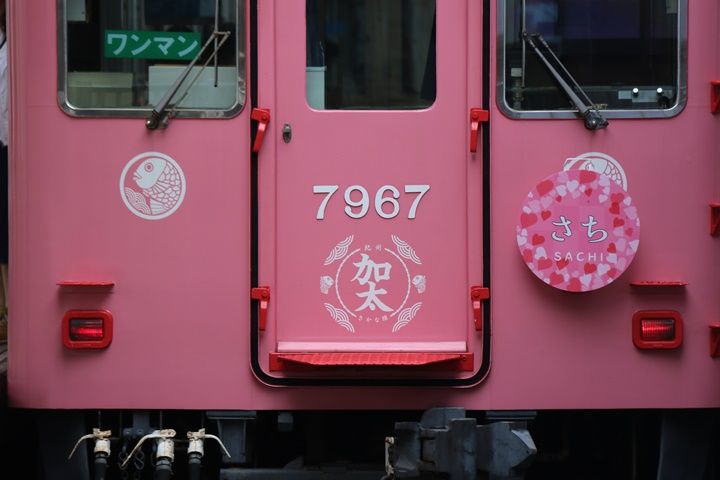 イメージ 12