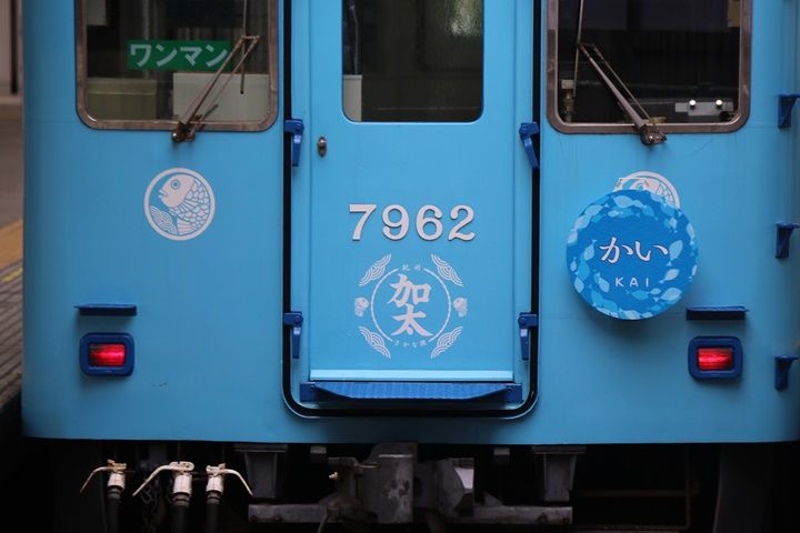 イメージ 17