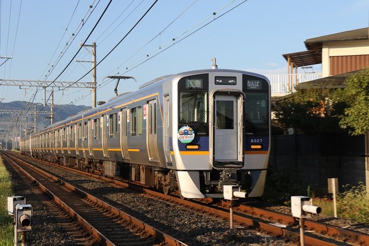 イメージ 5