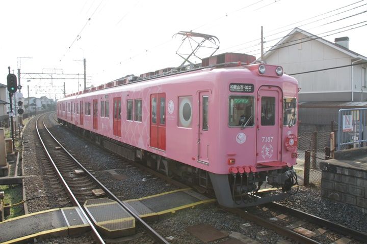 イメージ 8