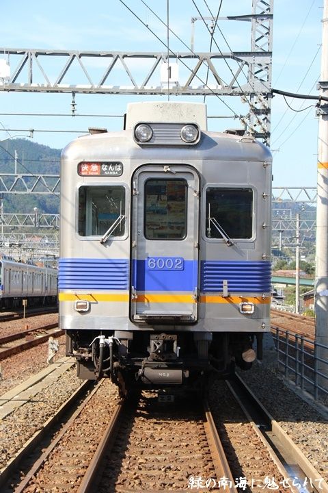 イメージ 3