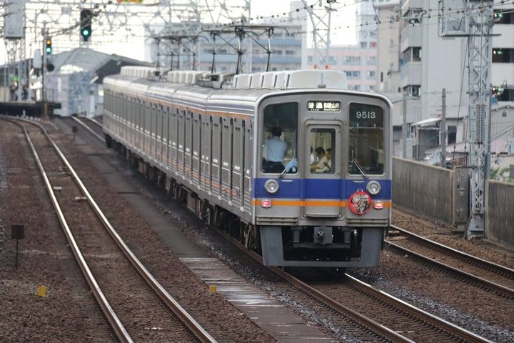 イメージ 5