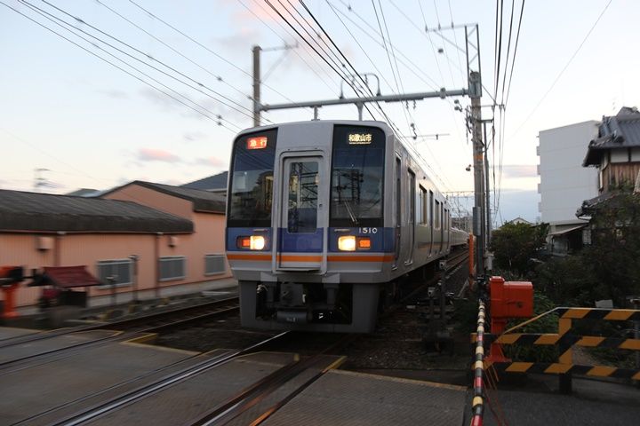 イメージ 7