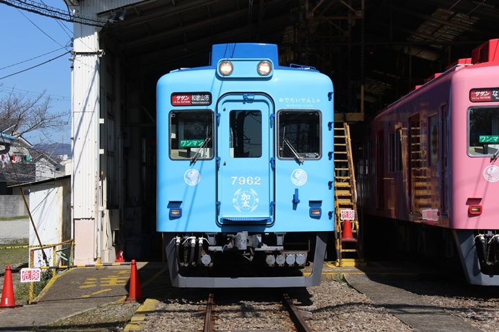 イメージ 7