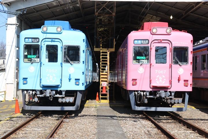 イメージ 7