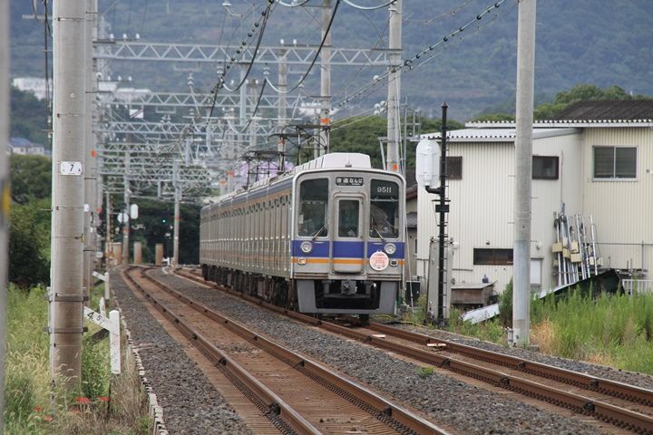イメージ 5