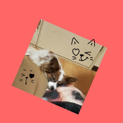 2019-01-08_18-12-00_817