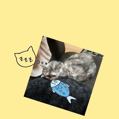 2019-01-08_18-23-02_242