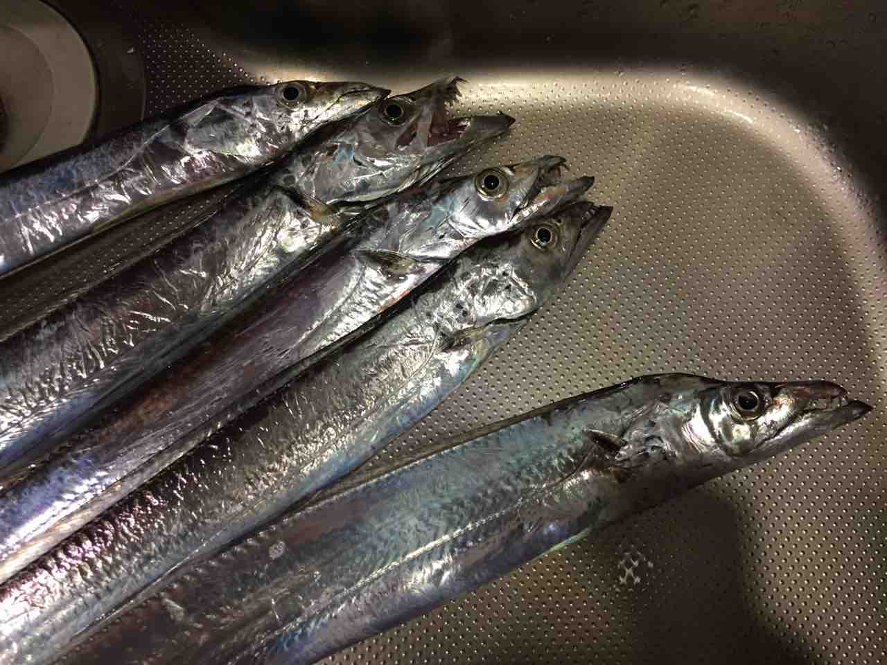 遠州灘サーフ ヒラメ釣行 遠州灘サーフ ヒラメ釣行