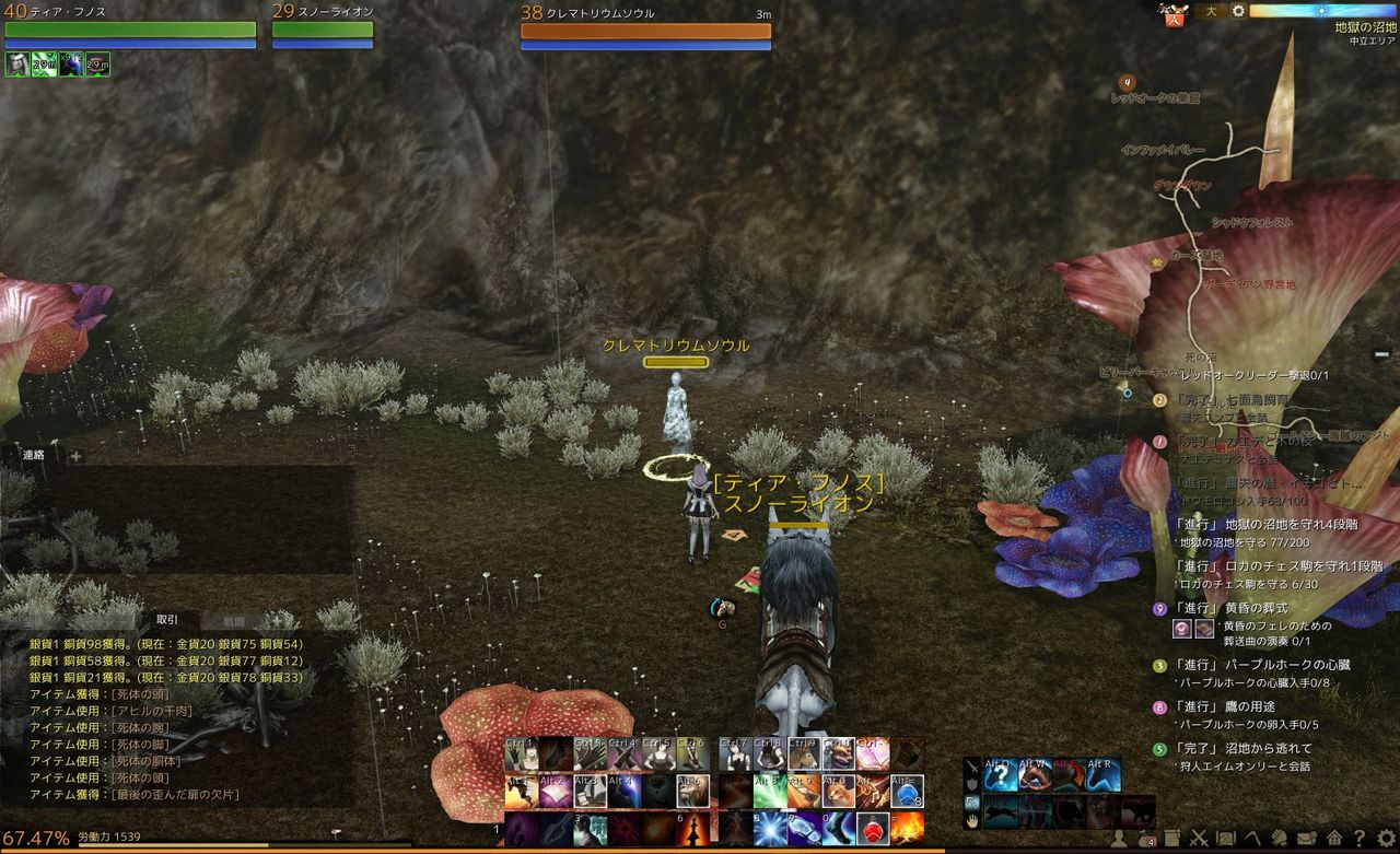 地獄の沼地の隠しクエスト 歪んだ扉の欠片 Archeage ティア フノスの手記