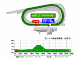 kyoto-s-2000