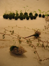 Mossspace»Ï¤Þ¤ê¤Þ¤·¤¿¡£