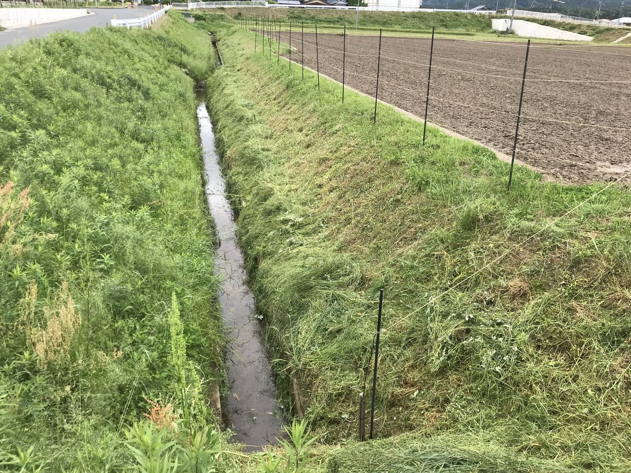 斜面草刈り 薪ストーブ 農業 トラベルトレーラー奮闘記 斜面草刈り 薪ストーブ 農業 トラベルトレーラー奮闘記