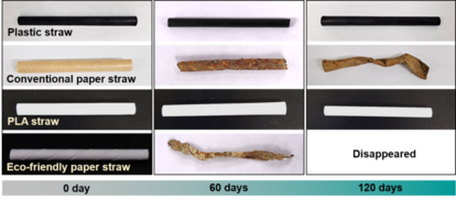 海洋での分解テスト。上からプラスチックストロー(Plastic straw)、従来の紙ストロー(Conventional paper straw)、PLAストロー(PLA straw)、新しいPBS/BS-CNCストロー(Eco-friendly paper straw)