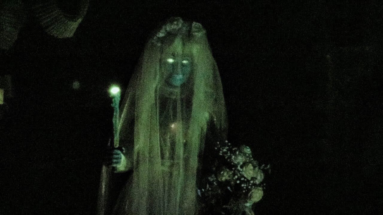 ディズニーランド初心者必見！ホーンテッドマンションの想像を超える恐怖体験