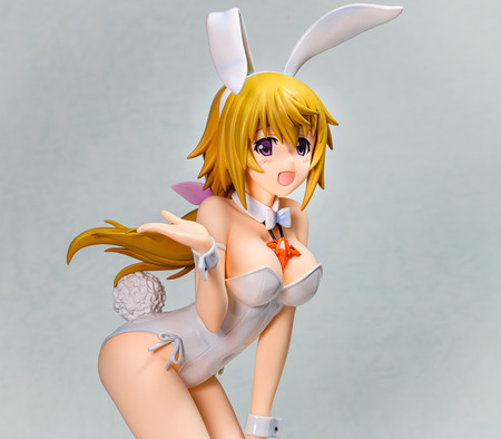 Is Lt インフィニット ストラトス Gt シャルロット デュノア 譜系交通体系バニーver Chou Bihin No アニメ 勝負 Zetaschools Org